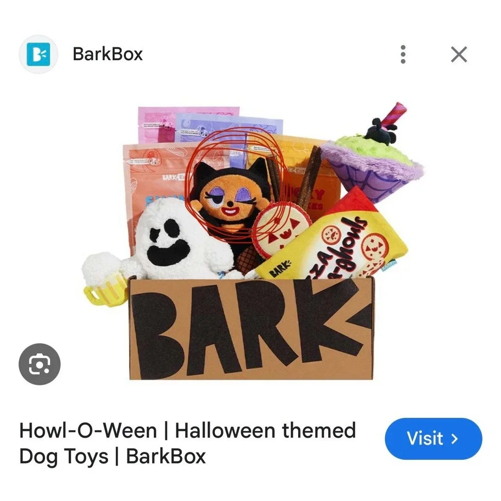 Bark box‎ halloween catsuit kitten